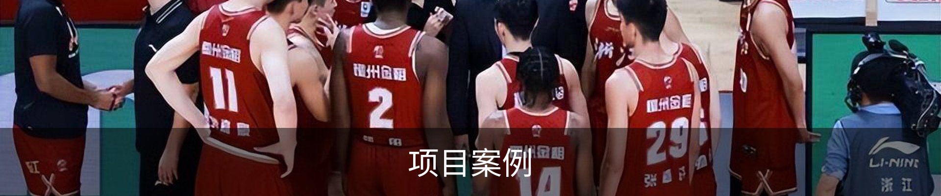 项目案例